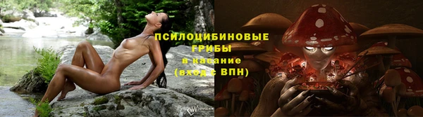 гидропоника Ладушкин