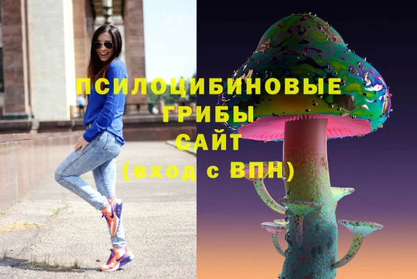 гидропоника Ладушкин