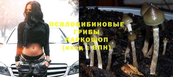 марки nbome Лабытнанги