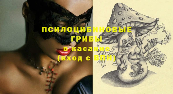 ешки Лагань