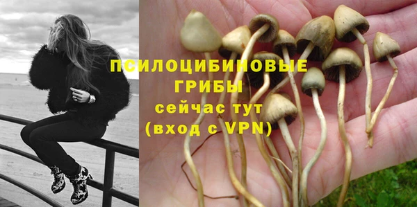 гидропоника Ладушкин